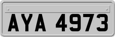 AYA4973