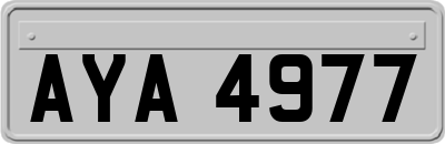 AYA4977