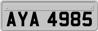 AYA4985