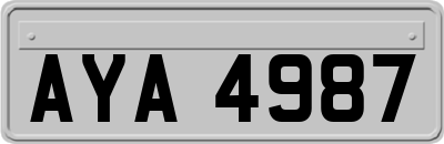 AYA4987