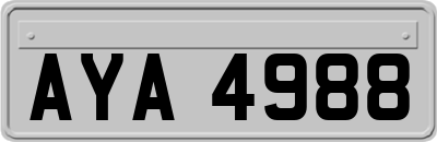 AYA4988
