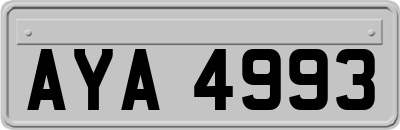 AYA4993