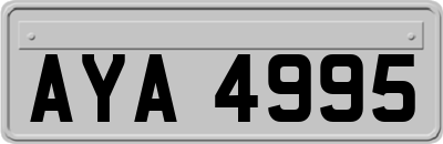 AYA4995