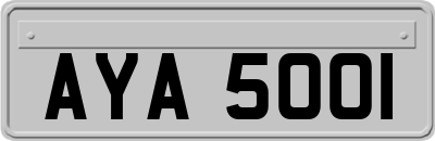 AYA5001