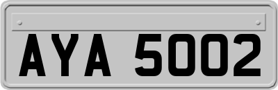 AYA5002