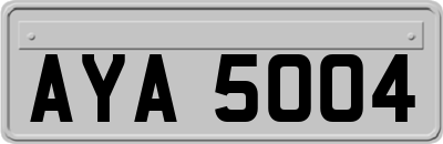 AYA5004