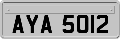 AYA5012