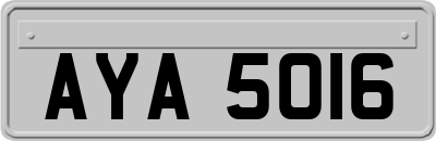 AYA5016