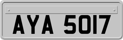 AYA5017