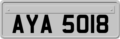 AYA5018
