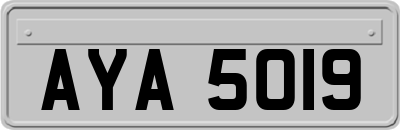 AYA5019