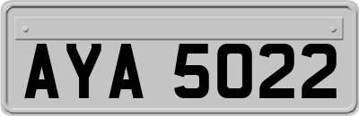 AYA5022