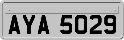AYA5029