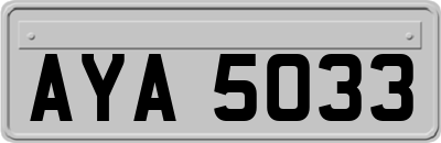 AYA5033