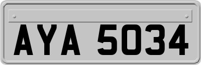AYA5034
