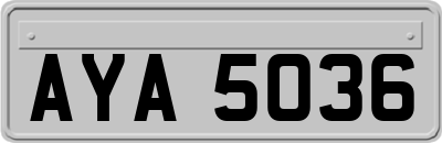 AYA5036