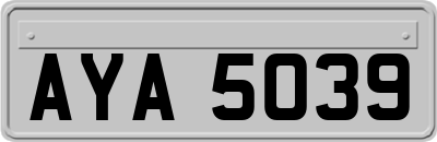 AYA5039