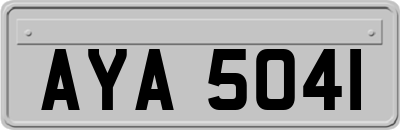 AYA5041