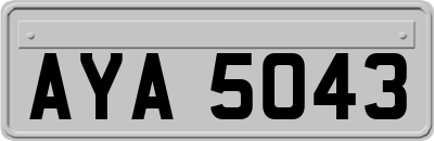 AYA5043