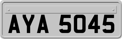 AYA5045