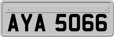 AYA5066