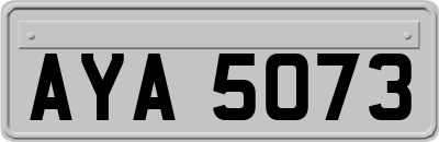 AYA5073