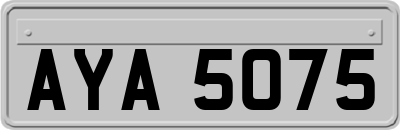 AYA5075