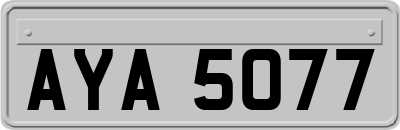 AYA5077