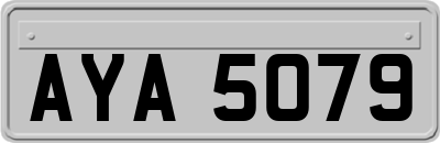AYA5079