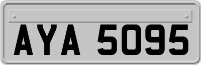 AYA5095
