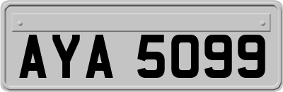 AYA5099