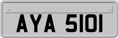 AYA5101