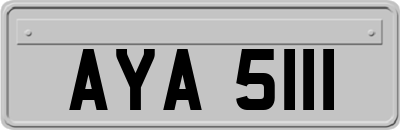AYA5111