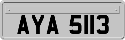 AYA5113