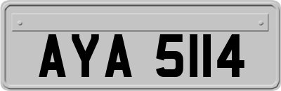 AYA5114