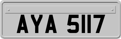 AYA5117