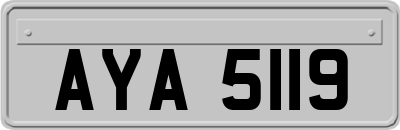 AYA5119