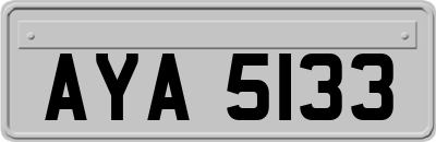 AYA5133