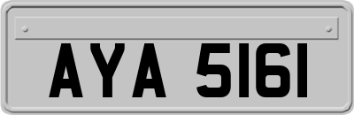 AYA5161