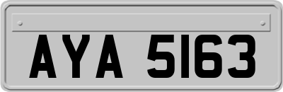 AYA5163