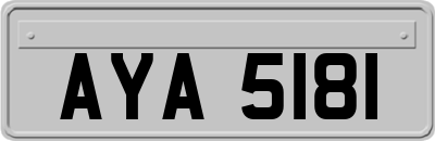 AYA5181