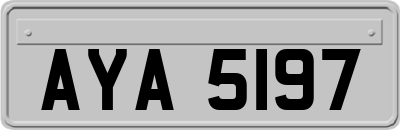 AYA5197