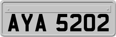 AYA5202