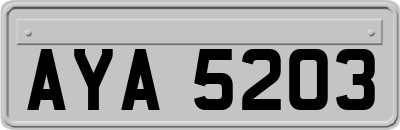 AYA5203