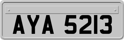 AYA5213
