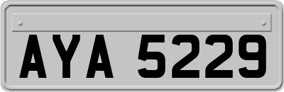 AYA5229