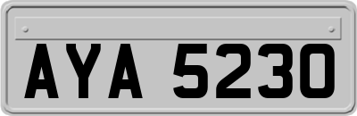 AYA5230