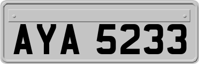 AYA5233