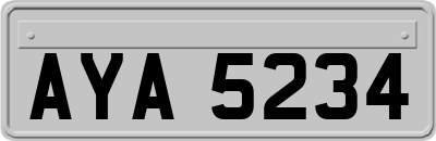 AYA5234