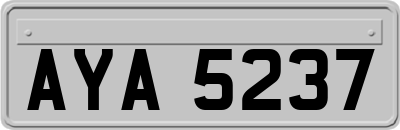 AYA5237